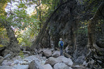 photo thumbnail #6
