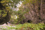 photo thumbnail #12