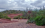photo thumbnail #4