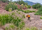 photo thumbnail #6