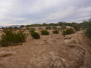 photo thumbnail #5