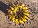 photo thumbnail #13
