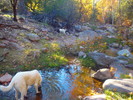 photo thumbnail #1