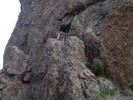 photo thumbnail #2