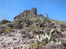 photo thumbnail #4
