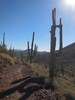 photo thumbnail #9