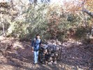 photo thumbnail #4