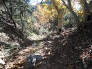 photo thumbnail #11