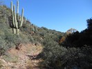photo thumbnail #12