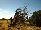 photo thumbnail #12