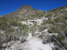photo thumbnail #7