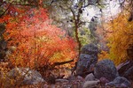photo thumbnail #7