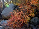 photo thumbnail #10