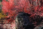 photo thumbnail #12