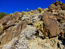 photo thumbnail #4