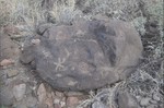 photo thumbnail #2