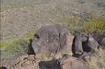 photo thumbnail #4