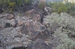 photo thumbnail #5