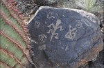 photo thumbnail #6