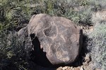 photo thumbnail #12
