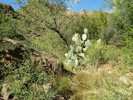 photo thumbnail #9