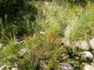 photo thumbnail #12