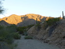 photo thumbnail #5