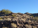 photo thumbnail #8