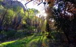 photo thumbnail #2