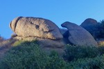 photo thumbnail #3