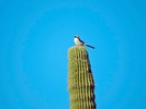 photo thumbnail #11