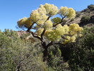 photo thumbnail #13