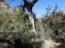 photo thumbnail #15