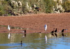 photo thumbnail #7