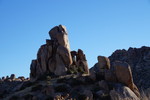 photo thumbnail #7