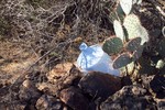 photo thumbnail #6