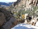 photo thumbnail #10