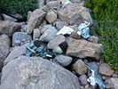 photo thumbnail #11