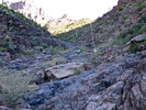 photo thumbnail #15