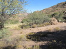 photo thumbnail #3