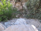 photo thumbnail #8