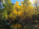photo thumbnail #11
