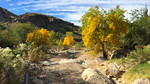 photo thumbnail #13