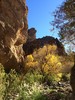 photo thumbnail #11