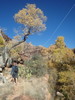 photo thumbnail #6