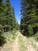 photo thumbnail #1