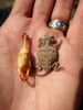 photo thumbnail #2