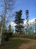 photo thumbnail #4