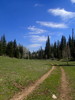 photo thumbnail #8
