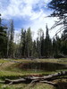 photo thumbnail #11